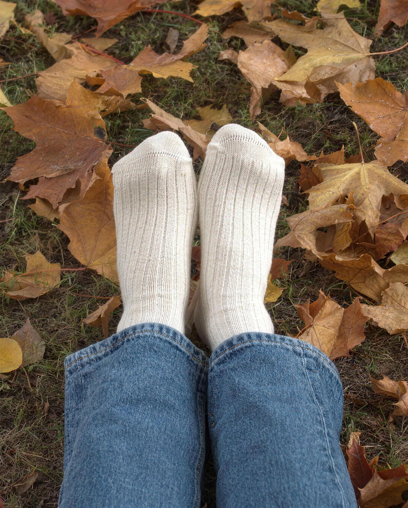 Ungefu00e4rbte Baumwollsocken auf Herbstlaub
